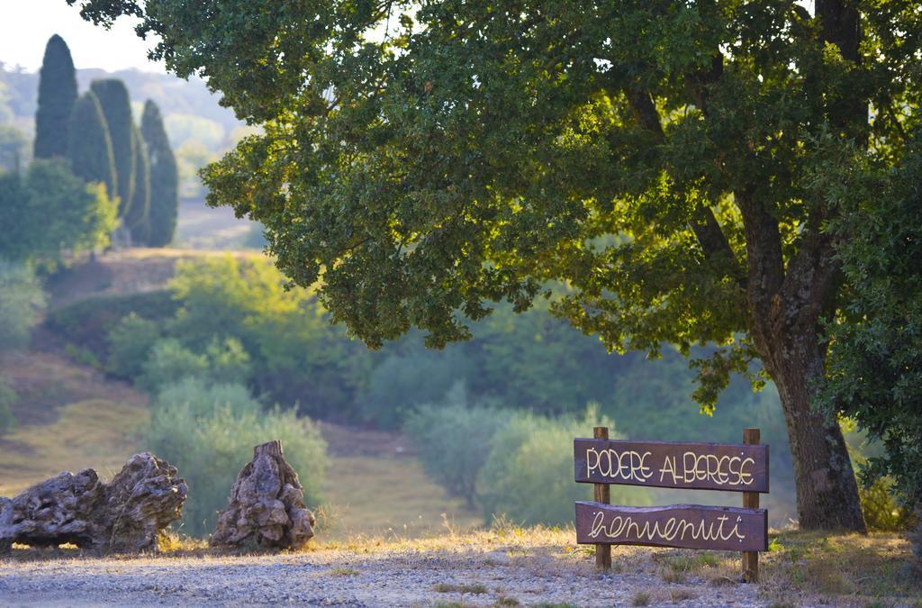 Agriturismo Podere Alberese Asciano Zewnętrze zdjęcie