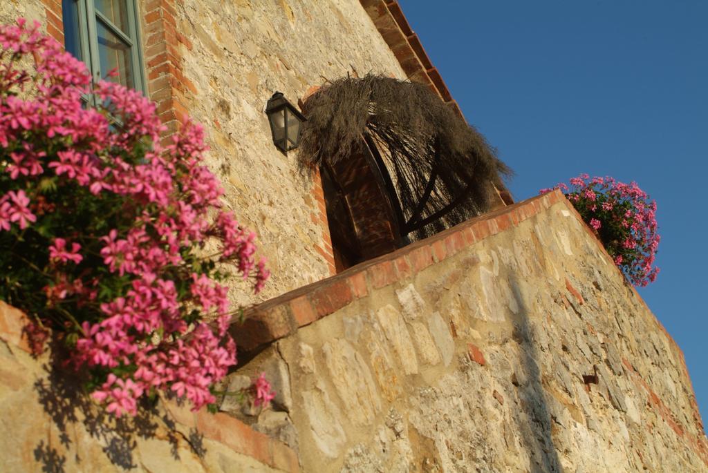 Agriturismo Podere Alberese Asciano Zewnętrze zdjęcie